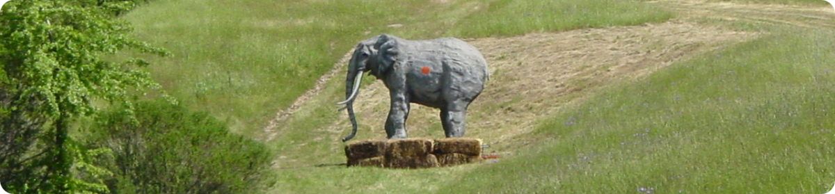 Maya Elephant