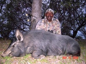 2008 Robert Williams Pig1