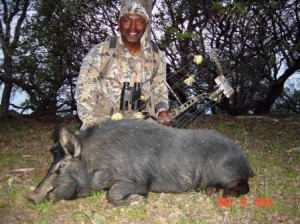 2008 Robert Williams Pig2